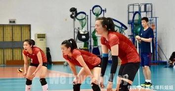集训爆料女排视频大全最新,最新视频大全精彩瞬间回顾